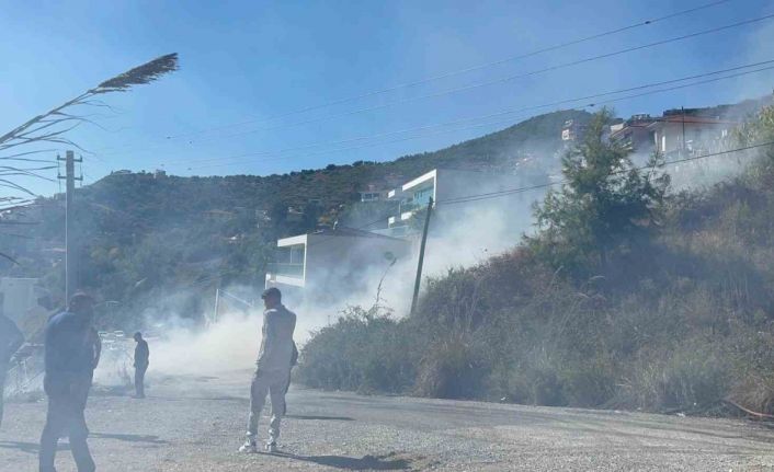 Alanya’da yerleşim alanlarını tehdit eden yangın korkuttu