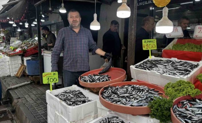 Alaplı’da hamsi 100 liradan alıcı buldu