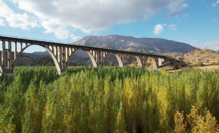 Alman Köprüsü’nün etrafında renk cümbüşü