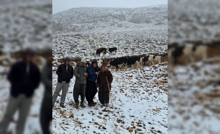 Aniden kar bastırınca yaylada mahsur kalan kadın kurtarıldı