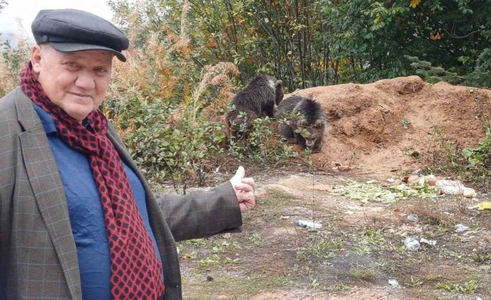 Annelerini kaybeden yavru ayılar, ilçenin maskotu oldu