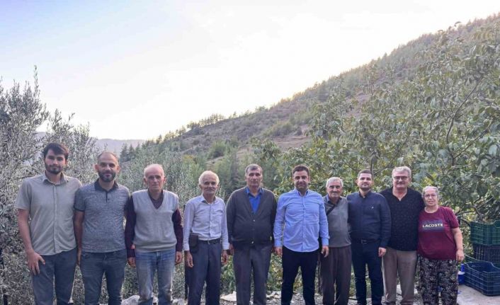 Antalya’da coğrafi işaretli çekirdeksiz narın hasadı başladı