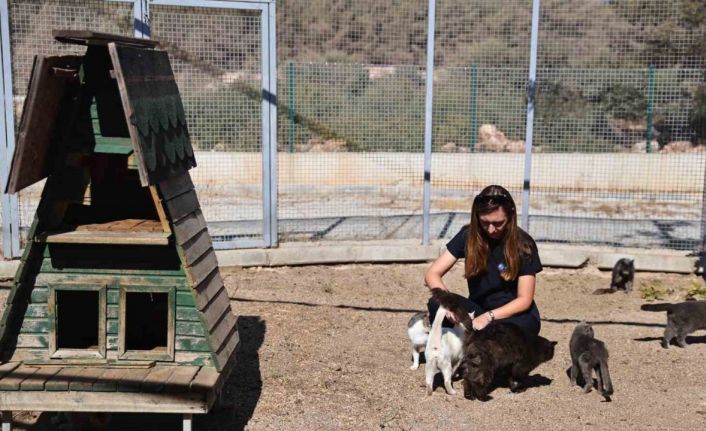 Antalya’da sokak hayvanlarına 7/24 bakım ve rehabilitasyon