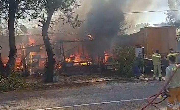 Antalya’da terk edilmiş baraka alev topuna döndü