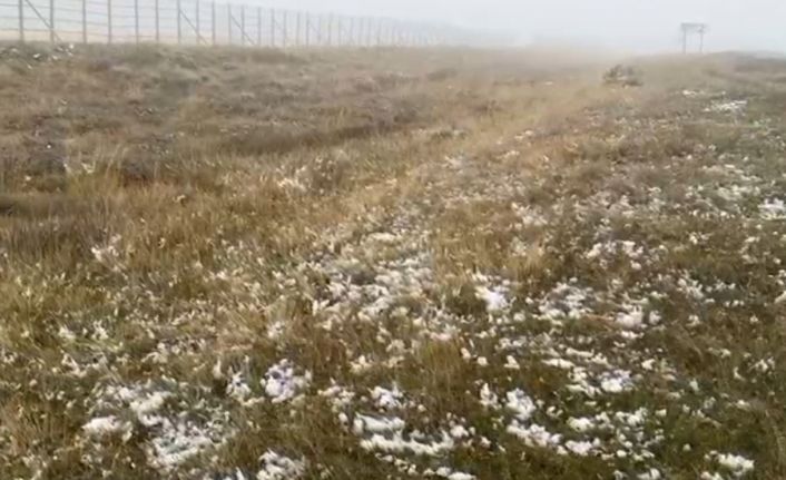 Ardahan’ın yüksek kesimlerinde kar yağışı etkili oldu