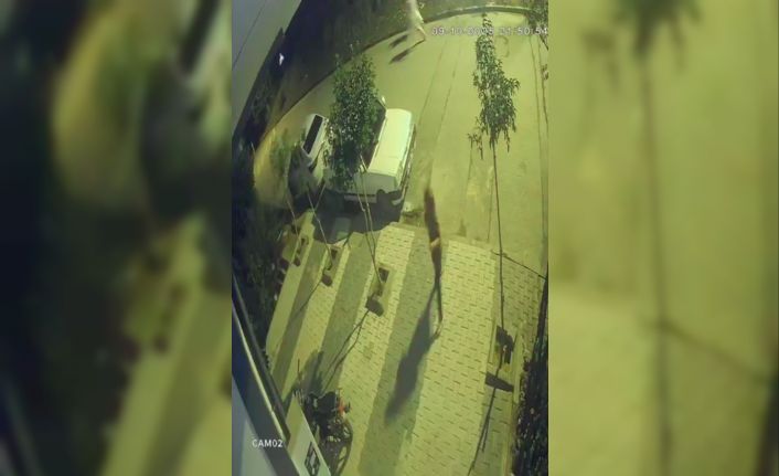 Arnavutköy’de faciadan dönüldü: Freni patlayan araç çocukların arasına böyle daldı