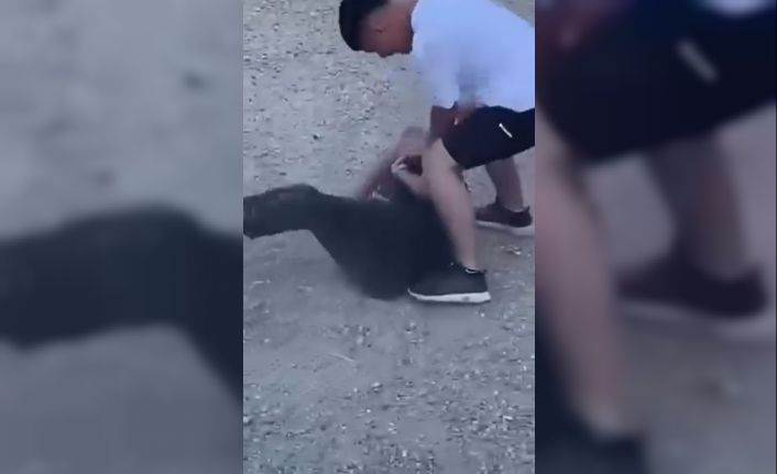 Arnavutköy’de gençlerin acımasızca kavgası kamerada