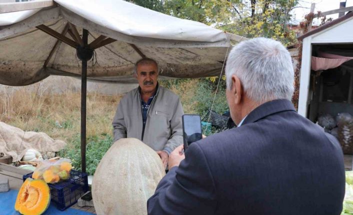 Ata tohumu 51 kiloluk dev kabak ilgi odağı oldu