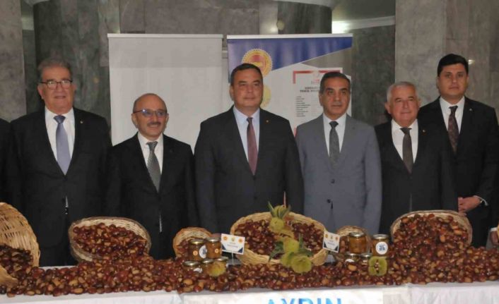 Aydın’da sezonun ilk kestanesi kilosu 550 TL’den alındı
