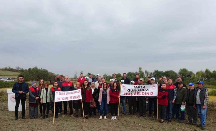 Babaeski’de Çeltik Tarla Günü etkinliği düzenlendi