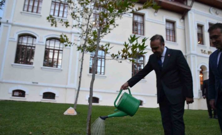 Bakan Kacır, 2023 yılında diktiği çınar ağacını suladı