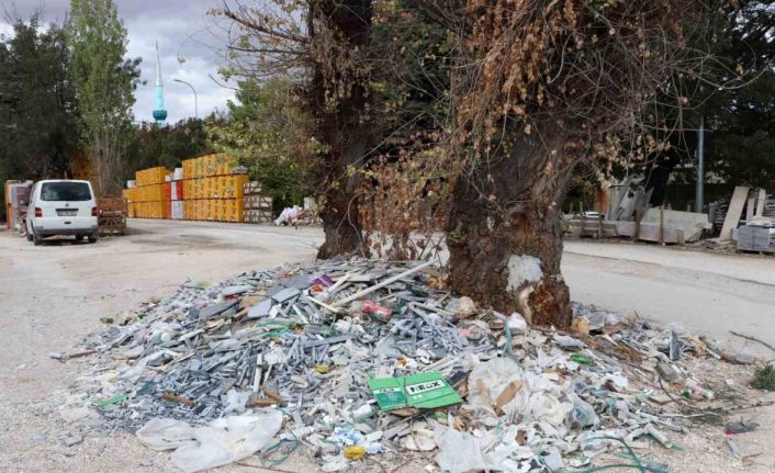 Baksan Sanayi Sitesi’nde ağacın çevresindeki moloz ve sanayi atıklarına tepki