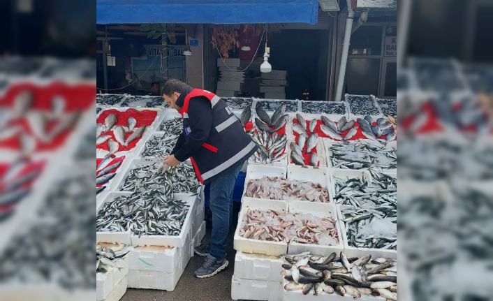 Balık tezgahları denetlendi
