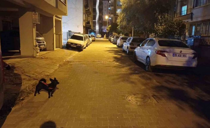 Balıkesir’deki deprem Aydın’da da hissedildi