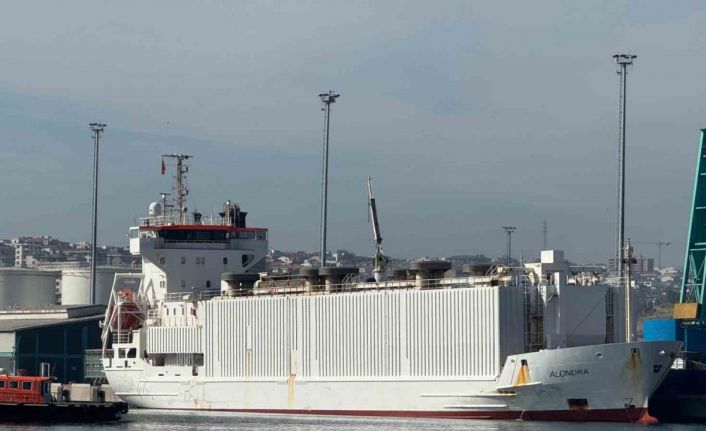 Bandırma ahır kokulu günlerine geri döndü