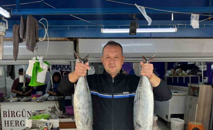 Bandırma Balık Hali’nde sezon hareketliliği başladı