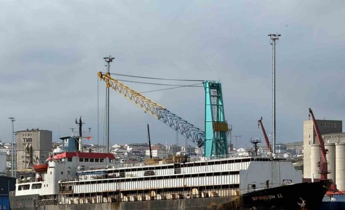 Bandırma Limanı’nda "Spiridon-II" krizi: İthal hayvanlar günlerdir limanda mahsur