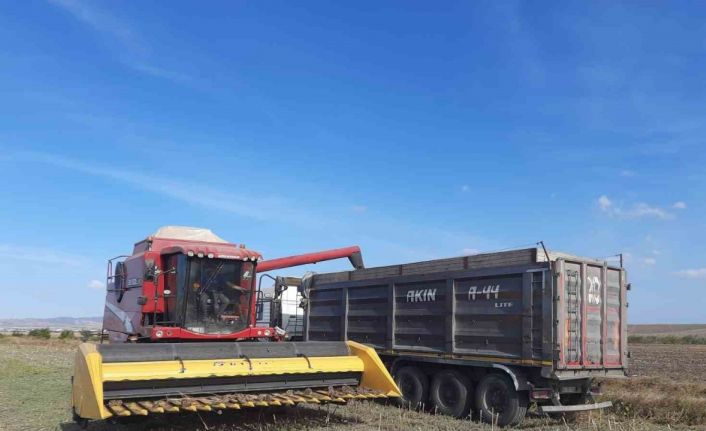 Bandırma Merinos’ta ayçiçeği hasadı tamamlandı