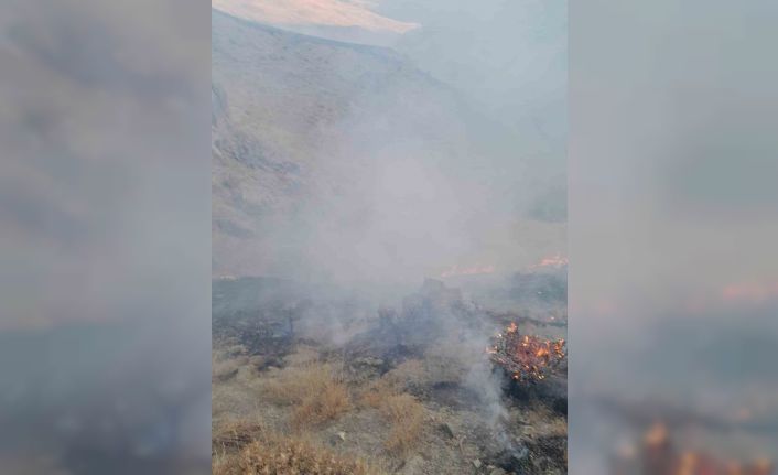 Başkale’de anız yangını