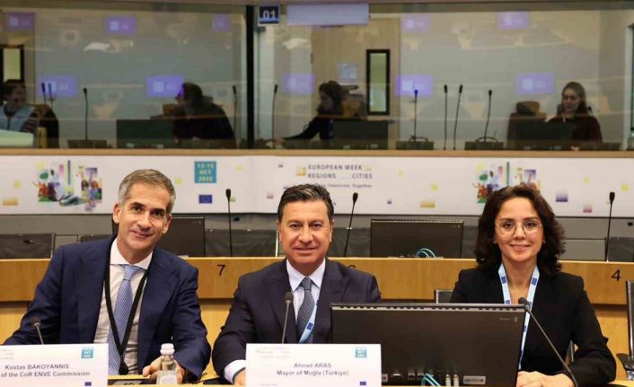 Başkan Aras’tan Brüksel’de demokrasi, iklim ve sürdürülebilirlik temasları