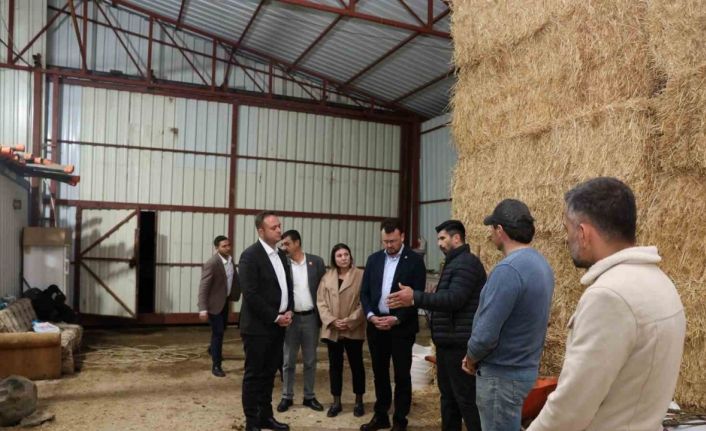 Başkan Dere, şap hastalığından mağdur olan aileleri yalnız bırakmadı