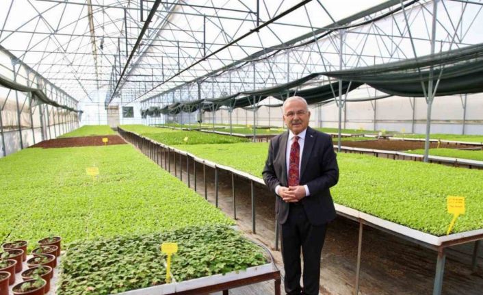 Başkan Güler: "Ürettiğimiz 4 milyon 600 bin fideyi üreticilerimize dağıttık"