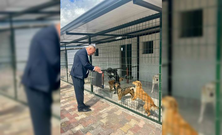 Başkan Yıldırımkaya: "Sultanhisar’da can dostlar emin ellerde"