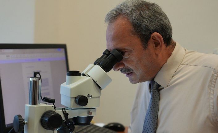 Batı Karadeniz orman fidanlıklarında toprak canlıları ilk kez araştırılıyor