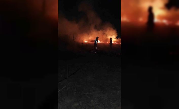 Batman’da anız yangını: 30 dönümlük alan kül oldu