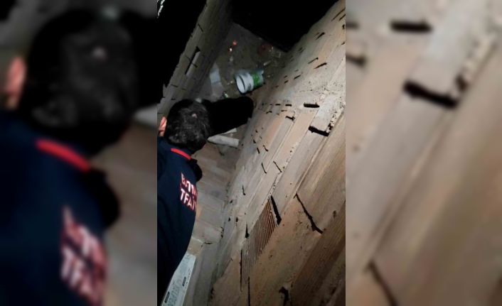 Batman’da havalandırma boşluğuna düşen kedi kurtarıldı
