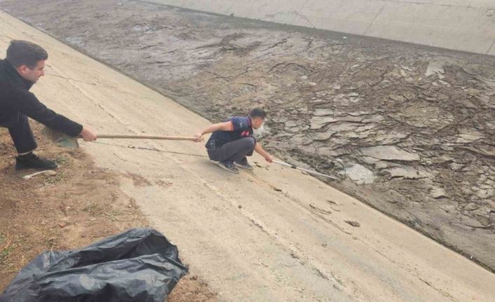 Batman’da kanala düşen köpek, itfaiye ekiplerince kurtarıldı