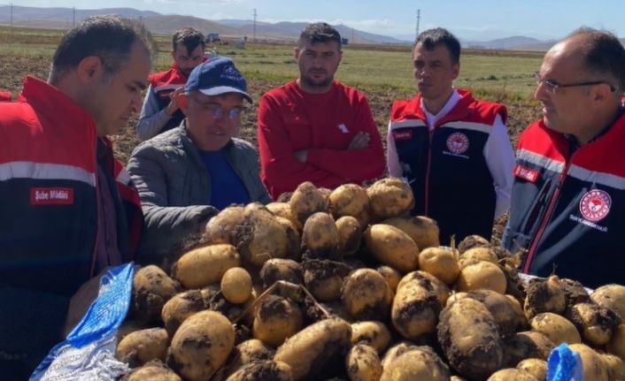 Bayburt’ta patates hasadına başlandı