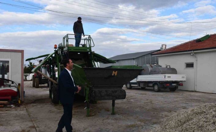 Beylikova Tarımsal Kalkınma Kooperatifi’nden hayvancılığa destek