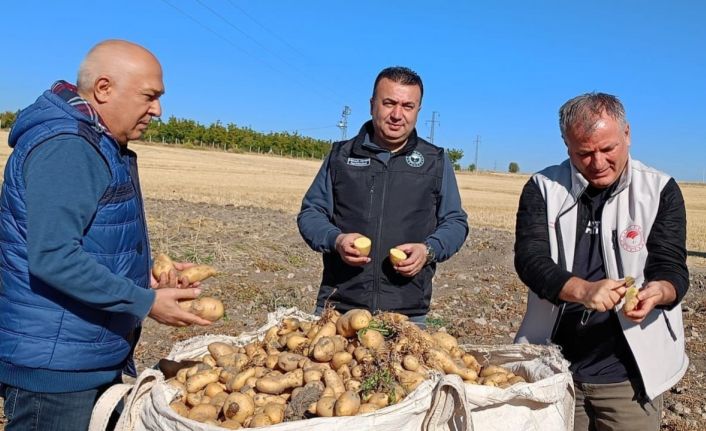 Beyşehir’de patates üreticisinin artan üretimle yüzü güldü