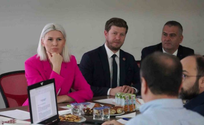 Bilecik’te "Kent belleği" projesi hayata geçiyor