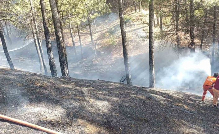 Bingöl’de çıkan orman yangını büyümeden söndürüldü