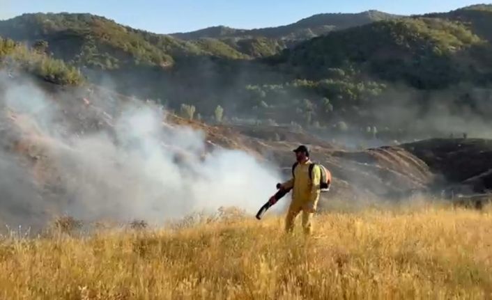 Bingöl’deki orman yangını kontrol altına alındı