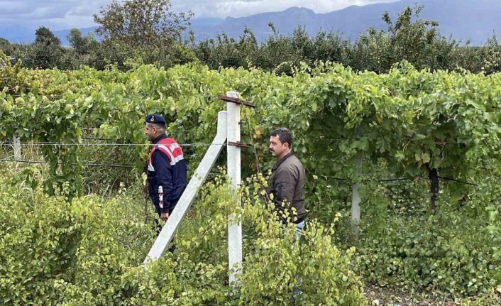 Bir yıllık emekleri çalınmasın diye gece gündüz nöbet tutuyorlar