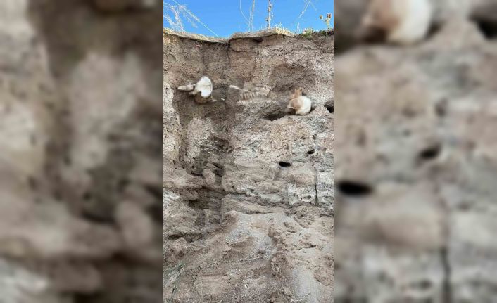 Boğazlıyan’da bulunan insan kemikleri incelemeye alındı