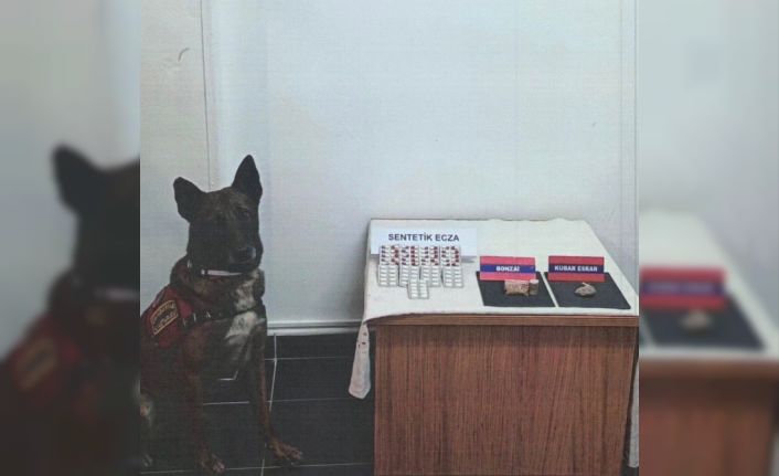 Bolu’da şüpheli araçta uyuşturucu maddeler ele geçirildi: 1 gözaltı