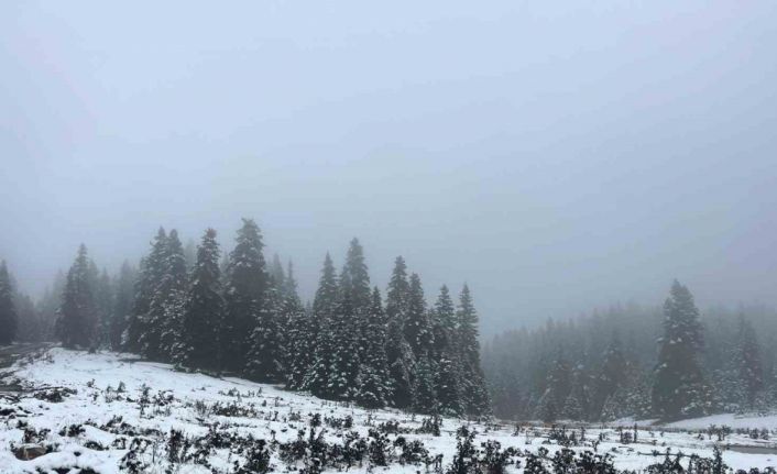 Bolu’nun yüksekleri beyaz örtüyle kaplandı