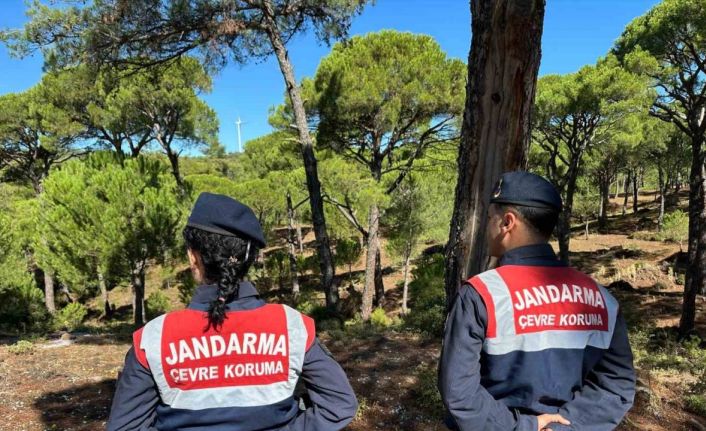 Bu çiçeği koparana 557 bin TL ceza