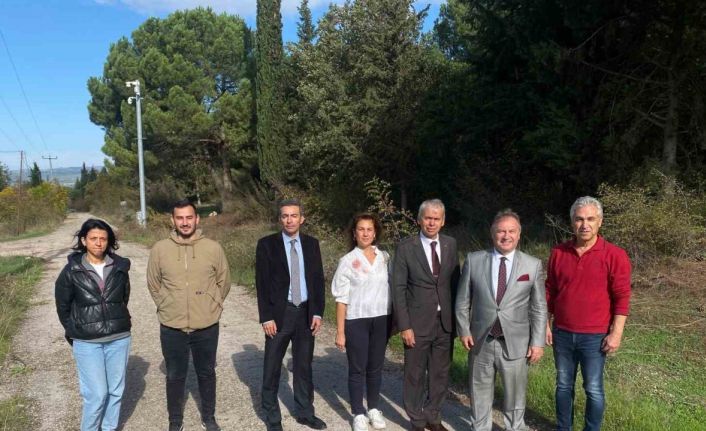 Bursa tarımına akademik bakış