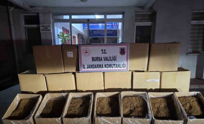 Bursa’da 750 kilogram kaçak tütün ele geçirildi
