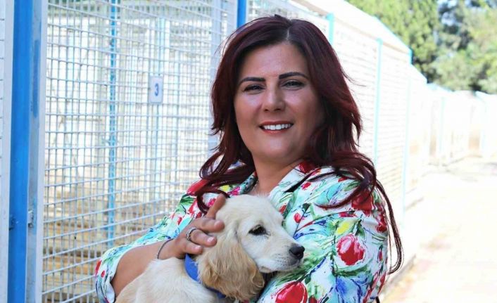 Büyükşehir’den sokak hayvanları için 244 bin metrekarelik yaşam alanı