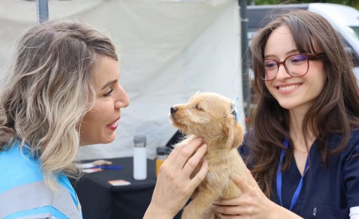 Can dostlar yeni yuvalarına kavuştu
