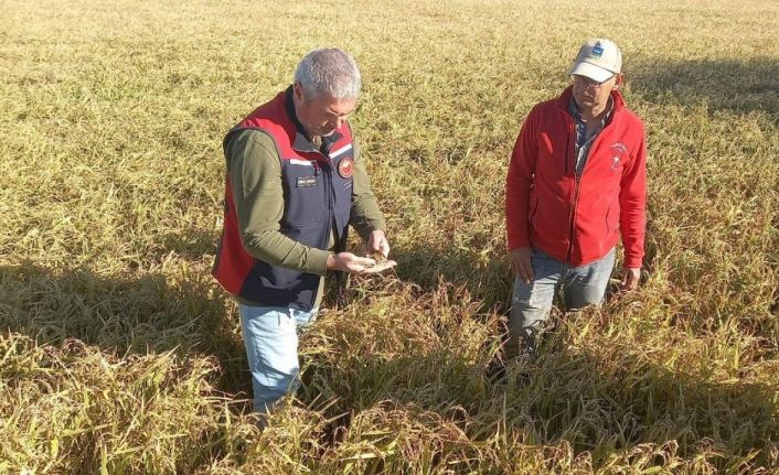 Çanakkale’de dolunun ardından bahçelerde hasar tespit çalışmaları başladı