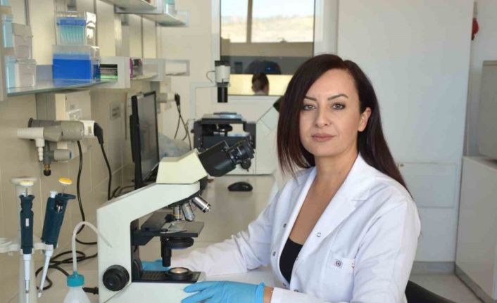 ’Candida auris’e karşı Türkiye’nin en kapsamlı araştırması tamamlandı