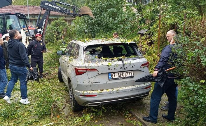 Çaycuma’da park halindeki otomobilin üzerine ağaç devrildi