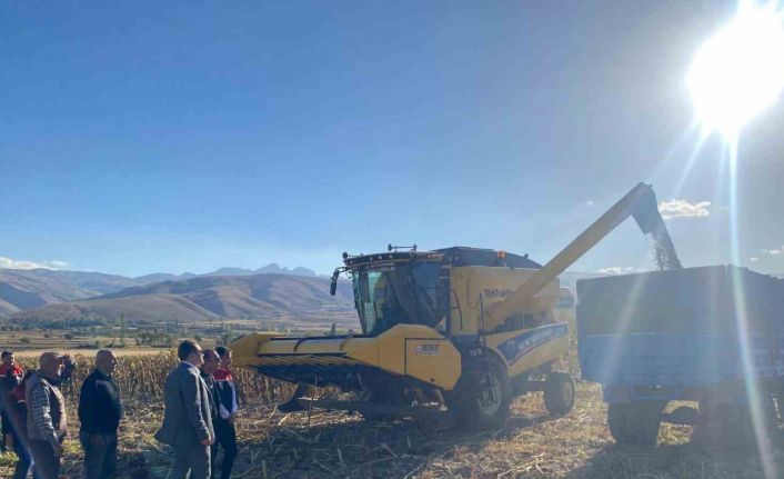 Çayırlı’da ayçiçeği hasadı başladı